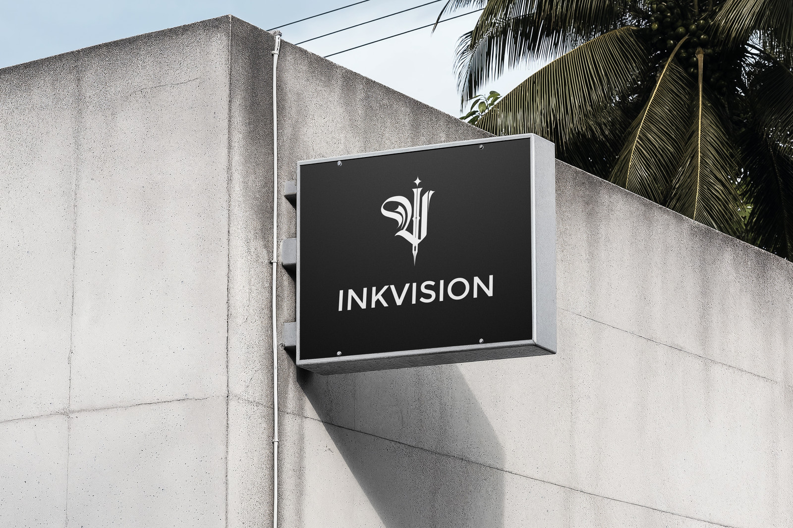 Colaboración 03
